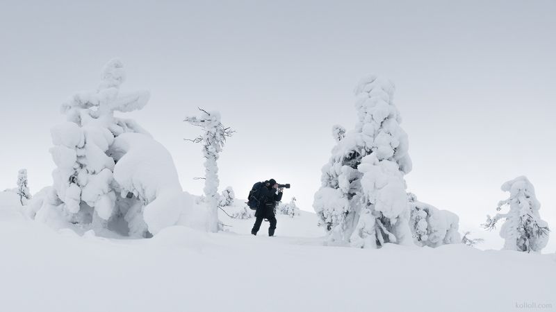 кандалакша, белизна, белый снег, зима, кольский полуостров, арт фото Чёрным по беломуphoto preview