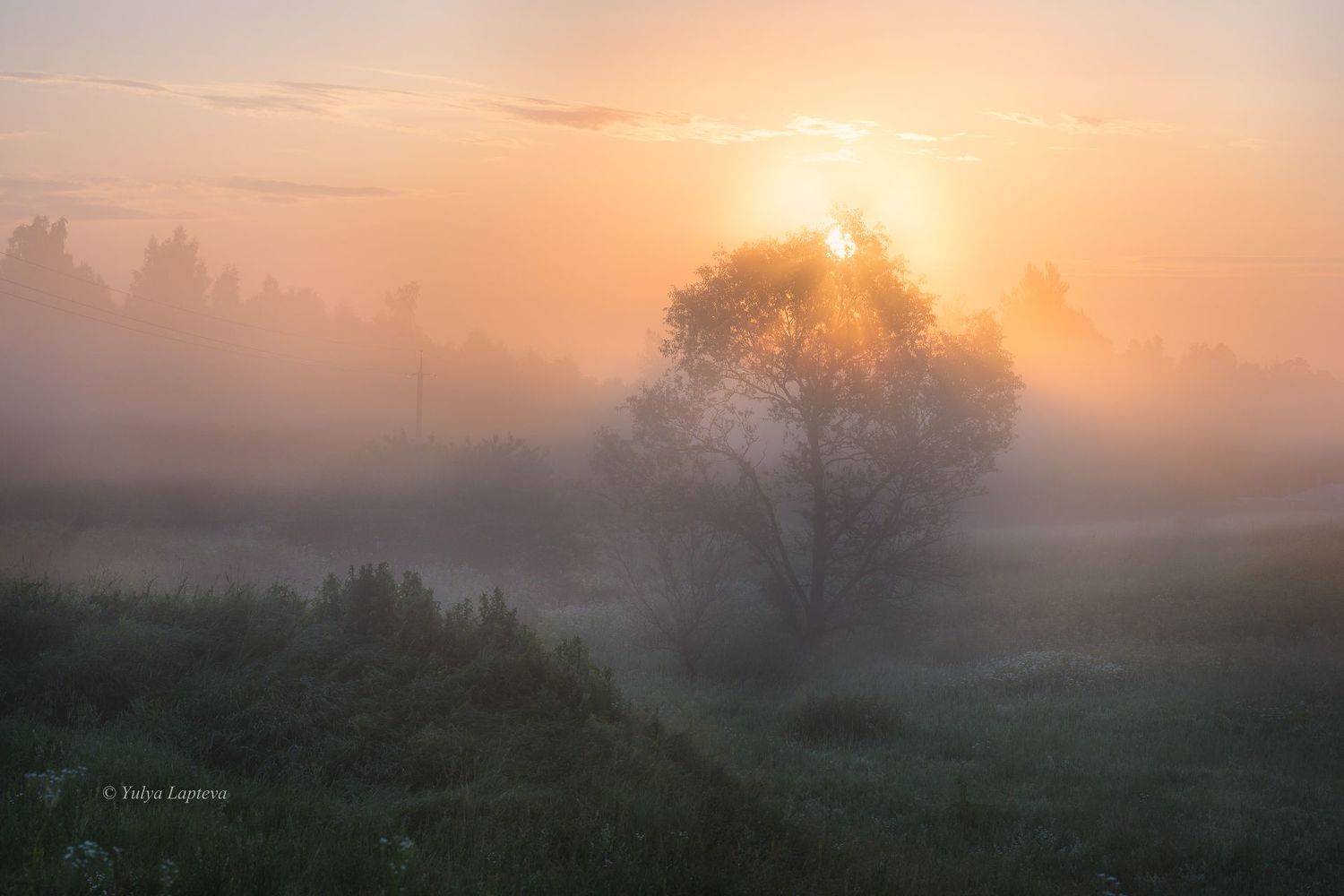"Таинственность". Автор: Юлия Лаптева , Юлия Лаптева