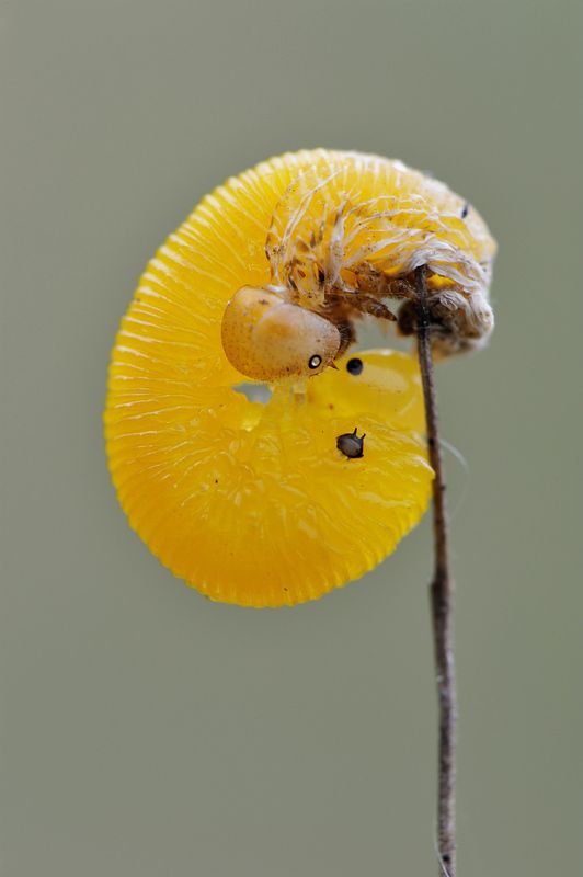 Заглянуть в глаза прошлому.photo preview