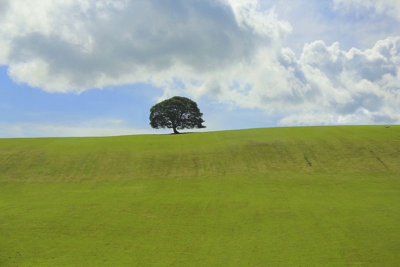 северная ирландия on the road to Belfastphoto preview