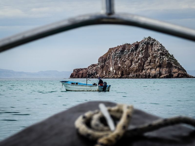 The Fishermanphoto preview