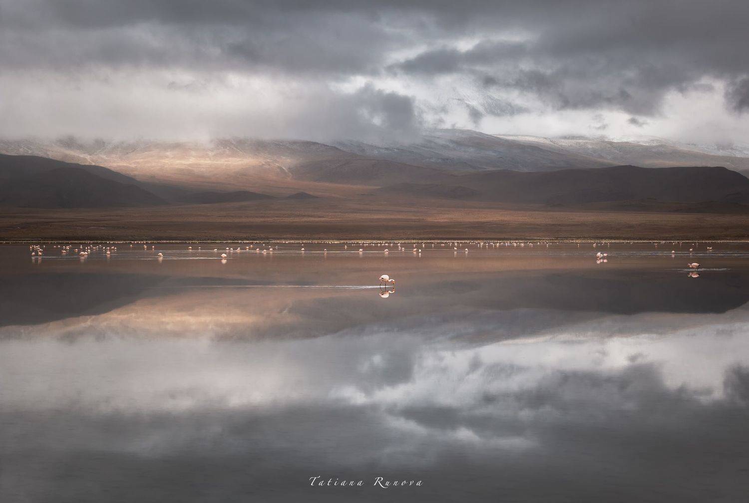 , Рунова Татьяна