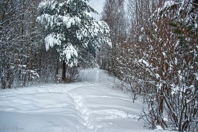 Зимние тропинки...photo preview