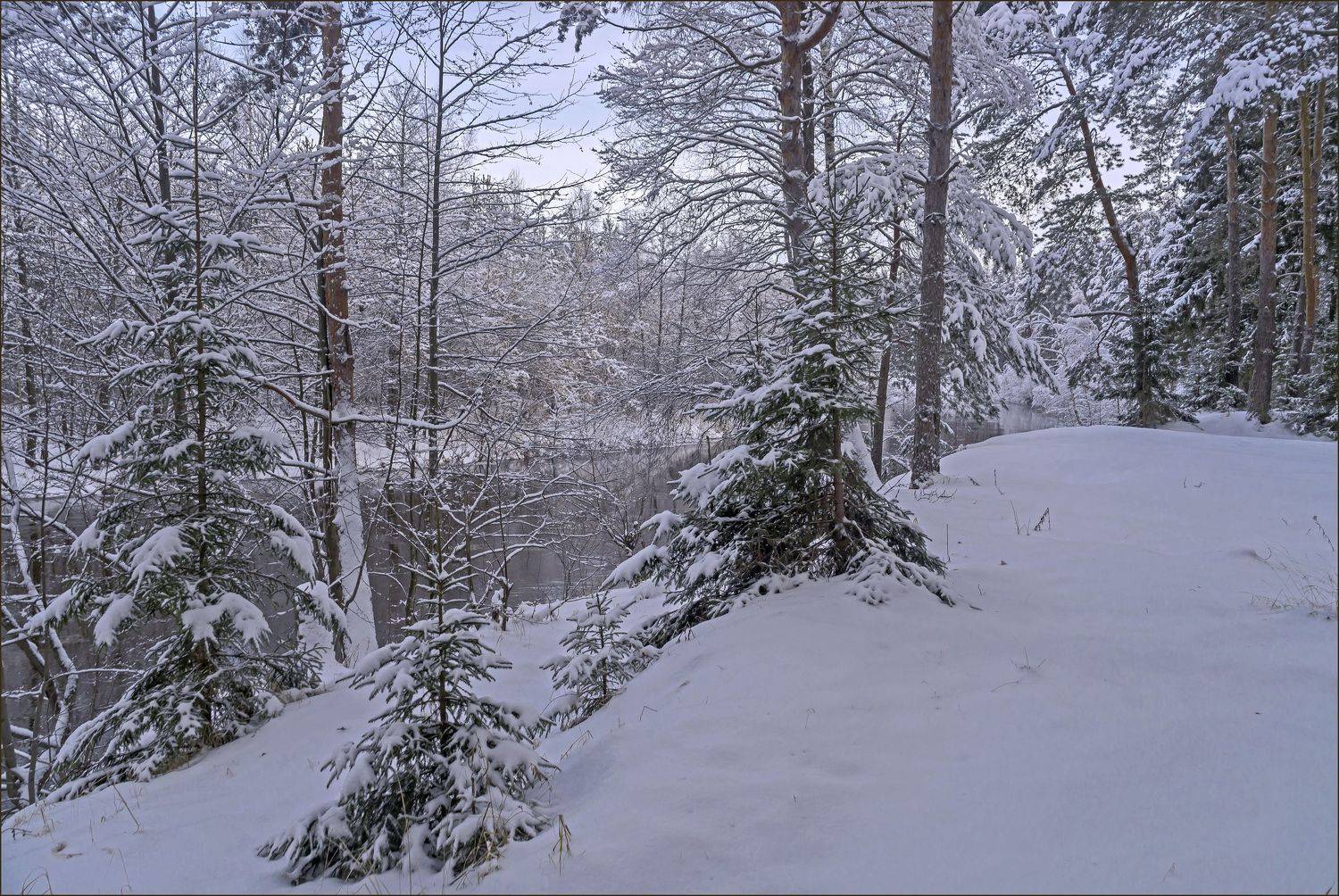 зима., Шитов Александр