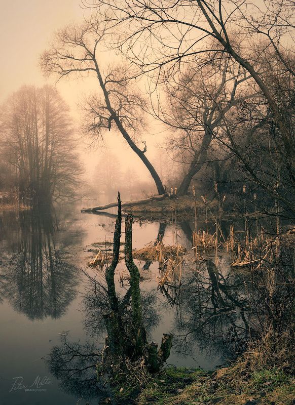 sleepy hollow Возвращение в Сонную Лощинуphoto preview