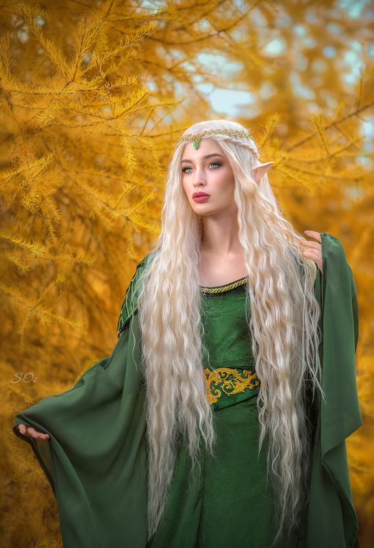 эльф, эльфийка, лес, осень, пихта, ель, сказка, фентези, девушка, блондинка, модель, персонаж, книга, арт, фильм, кино, сериал, fine art, fairytale, elf Лесная эльфийкаphoto preview