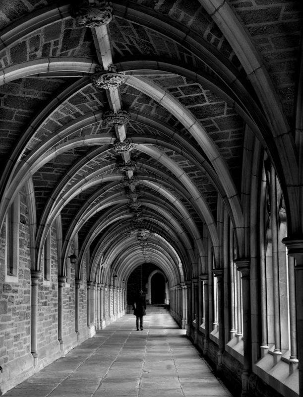 time perspective Перспектива Времениphoto preview