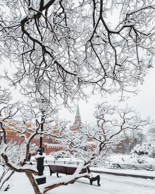moscow, kremlin, winter, snow, зима, снег, москва, кремль photo preview