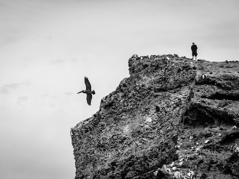 The Cliffphoto preview