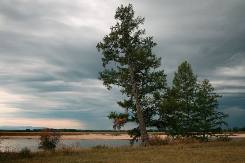 Баргузинские зарисовкиphoto preview