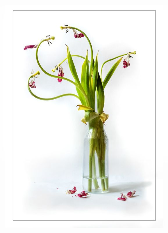 После праздникаphoto preview