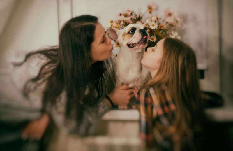 животные Бусинка фото превью