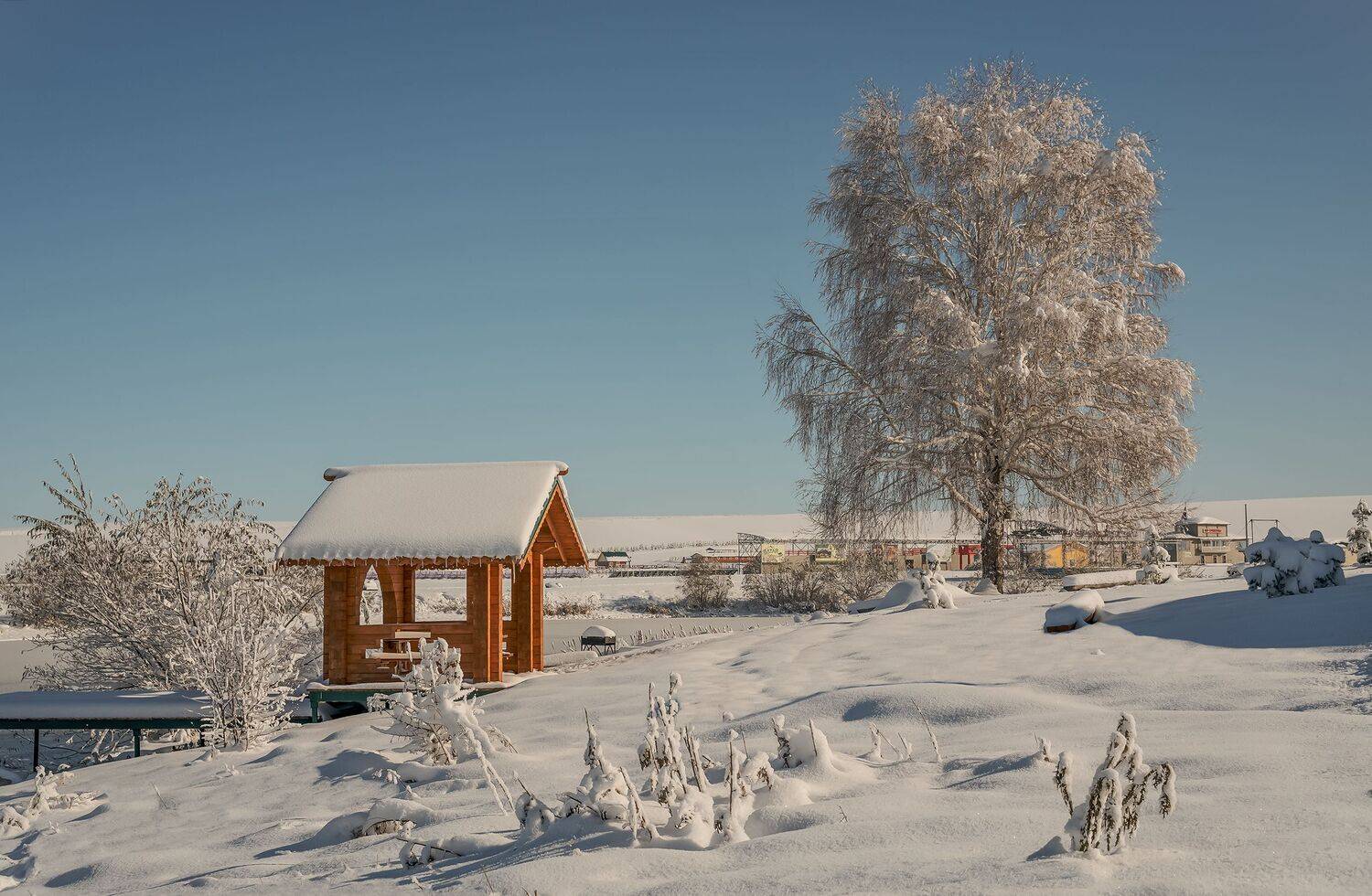 Утром выпал снег..... Автор: Бирюков Вячеслав белокуриха. алтай., Бирюков Вячеслав