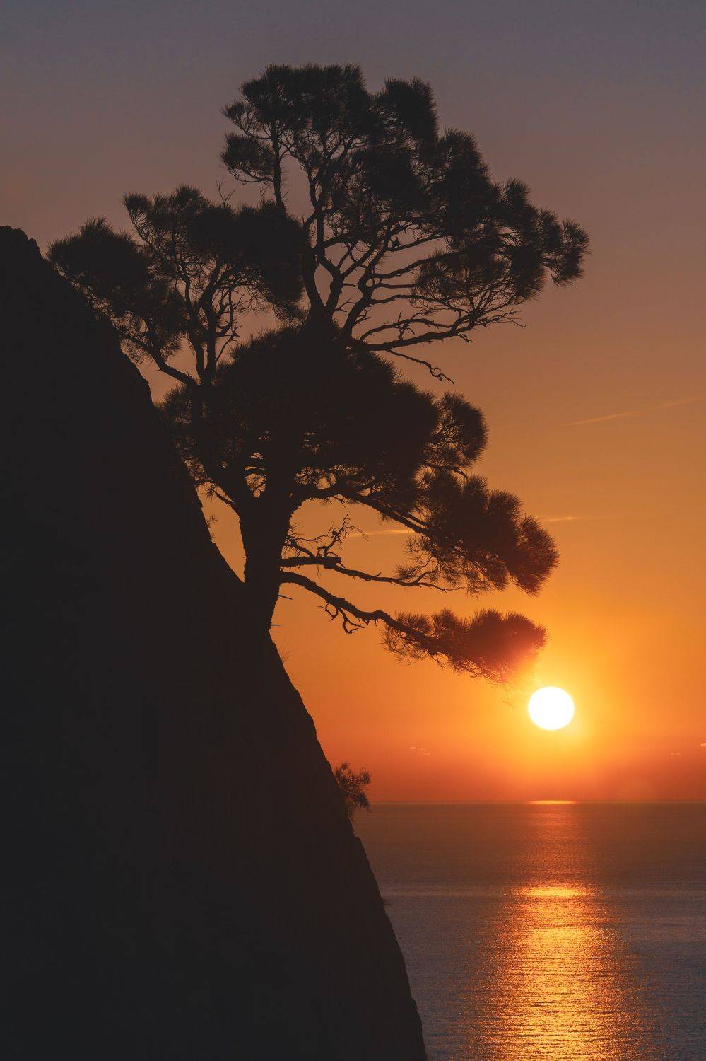 , Кривцов Андрей