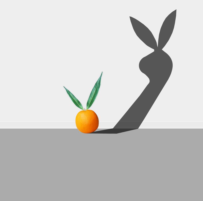 The Scenephoto preview