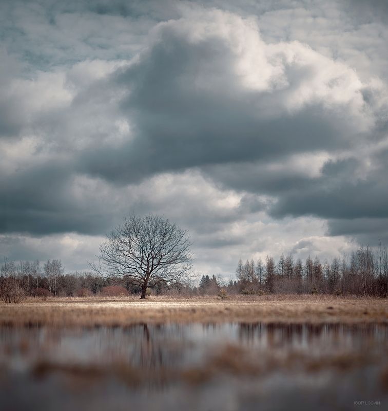 Lublinekphoto preview