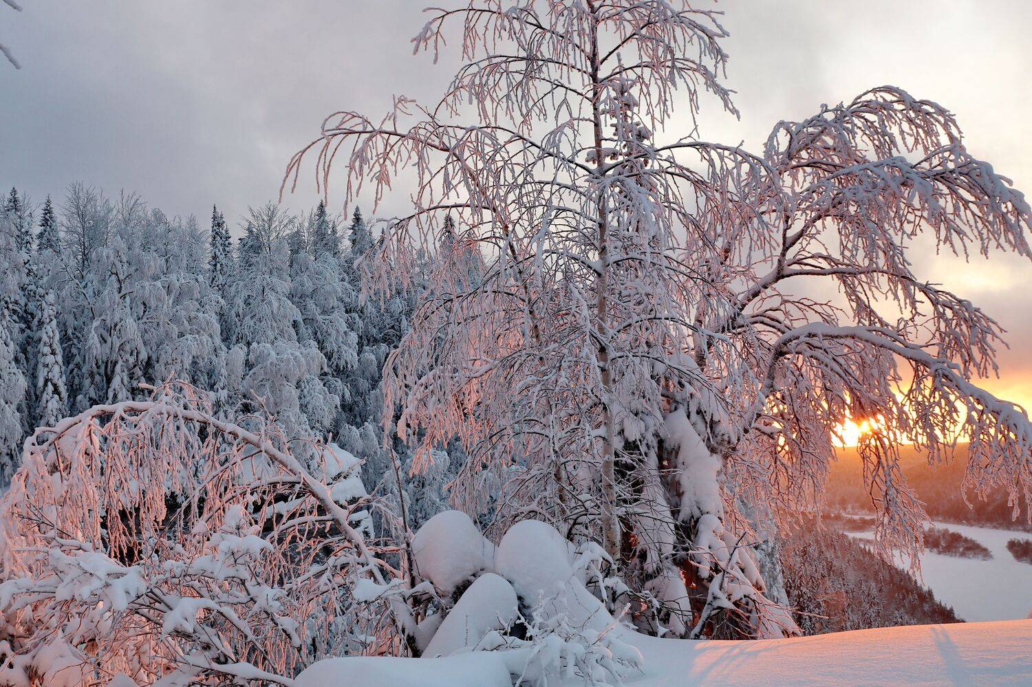 Солнце появилось. Автор: Добролюбова Тамара , Добролюбова Тамара