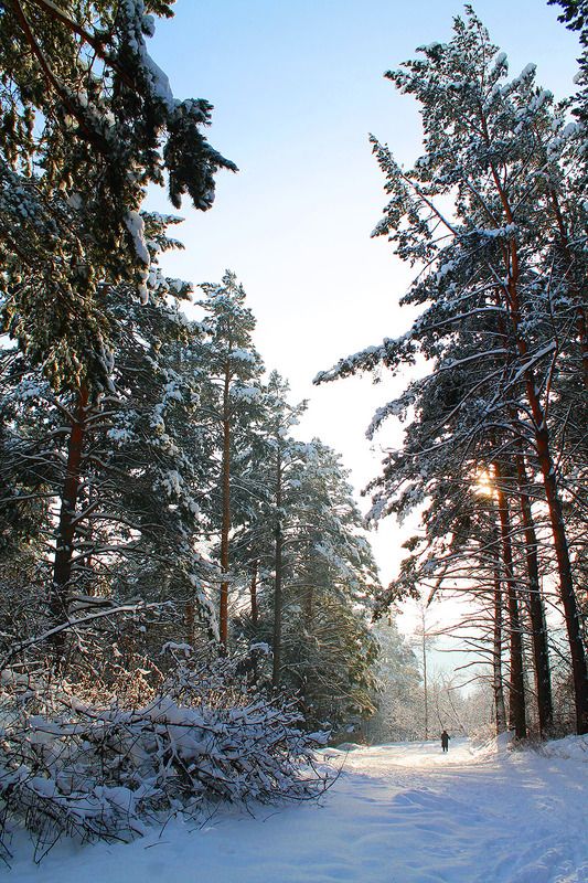 зима, сибирь, россия .photo preview