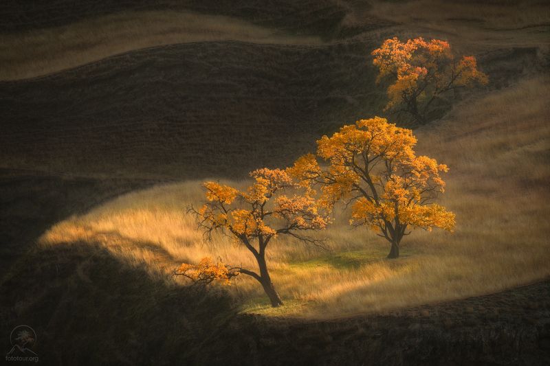дагестан, террасы, чох, кавказ, фототур на майские праздники, деревья, холмы, фототур в дагестан, дагестанские террасы, гунибский район Изящество форм и линийphoto preview