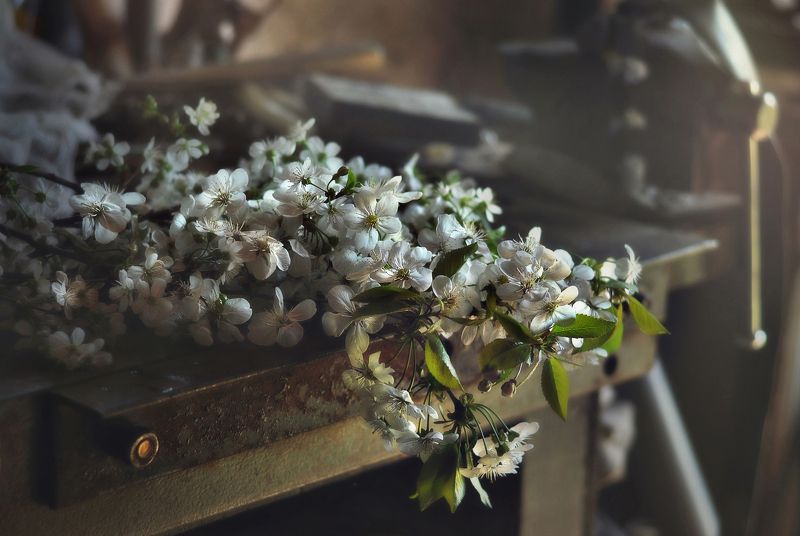 Весна в мастерскойphoto preview