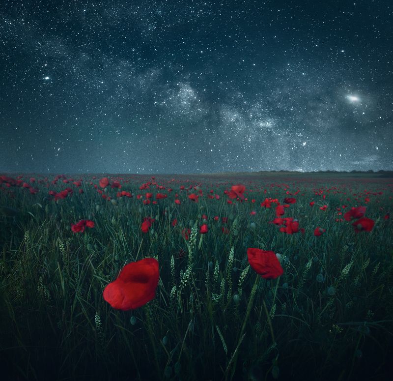 крым, ночной пейзаж, астрофото, маки, пейзаж, тургеневка Ночь в Тургеневкеphoto preview