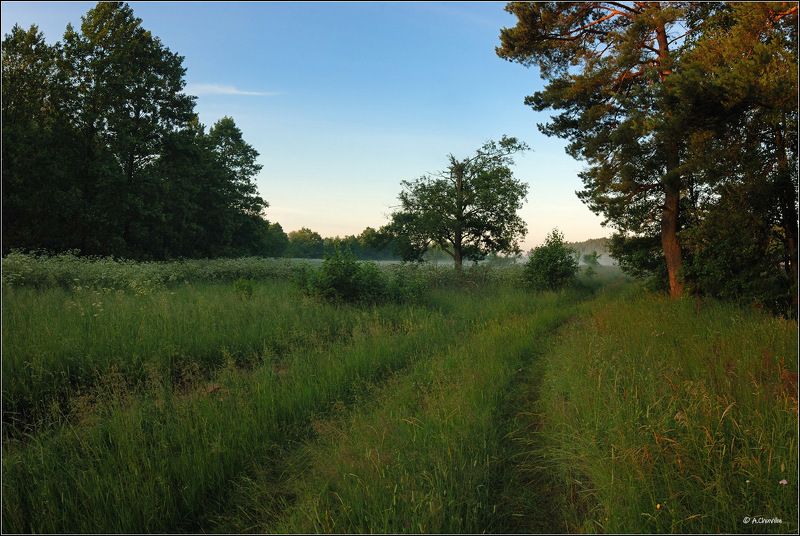 утро,рассвет,туман Ещё один рассветphoto preview