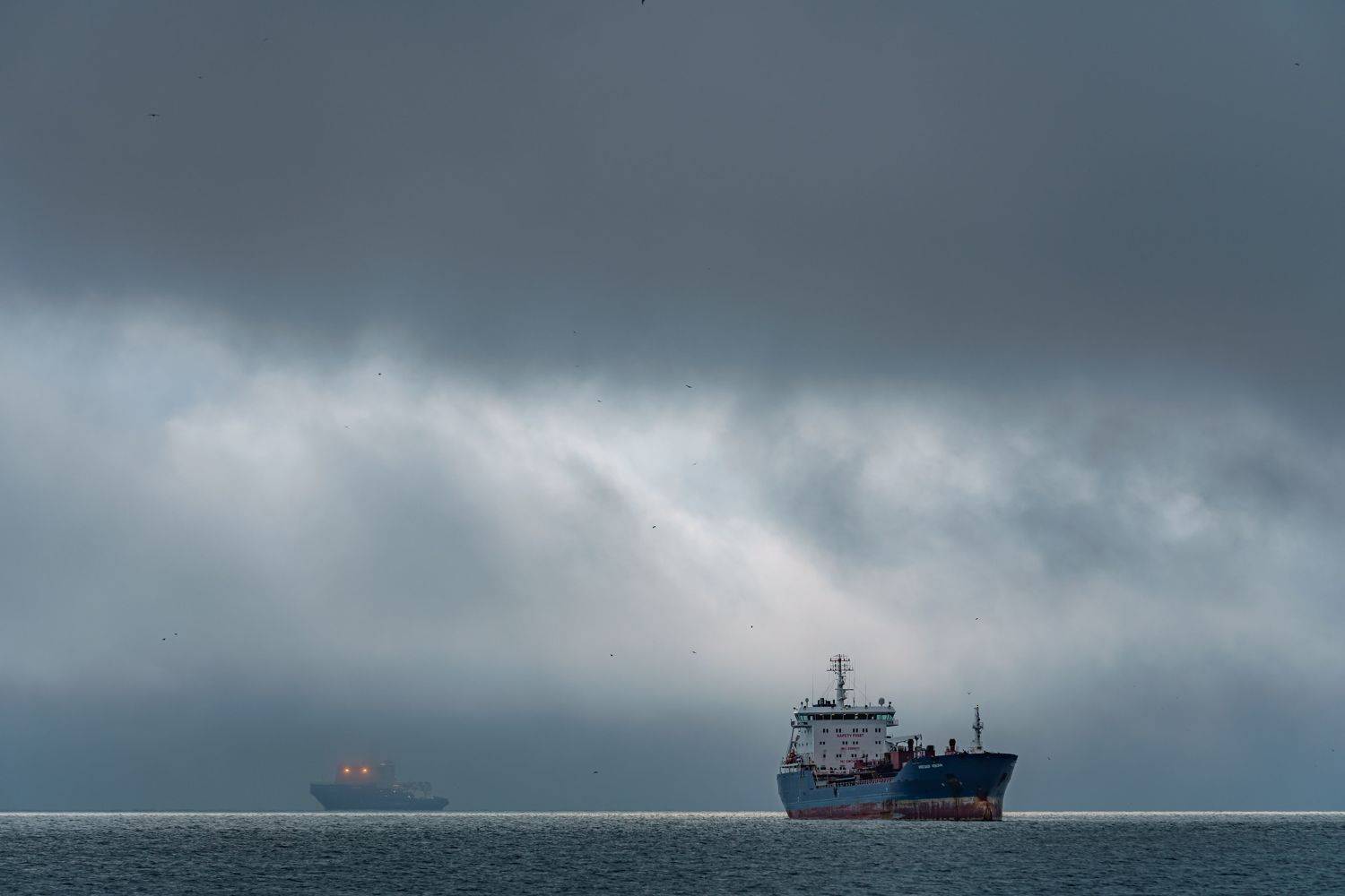 Он не с нашего порта!. Автор: Полякова Наталия владивосток, мост, корабли, приморье, город, дальний восток, японское море, море, Полякова Наталия