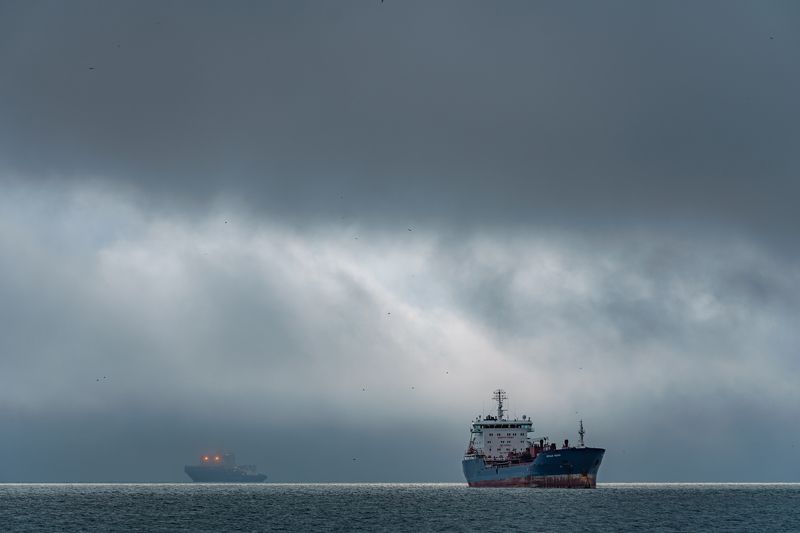 владивосток, мост, корабли, приморье, город, дальний восток, японское море, море Он не с нашего порта!photo preview