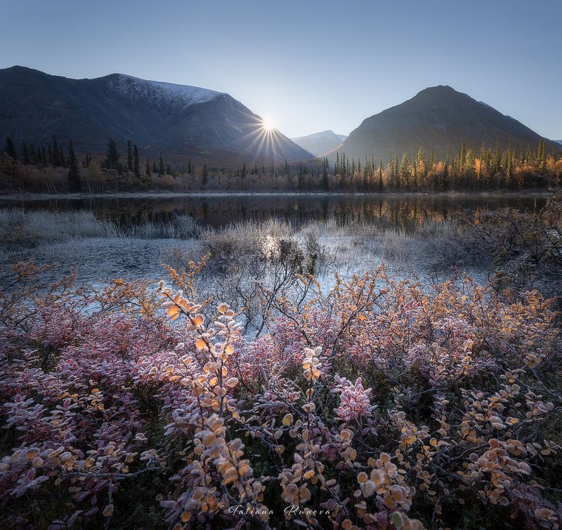 Морозное утроphoto preview