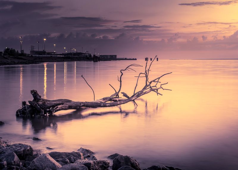 Ночные вибрацииphoto preview