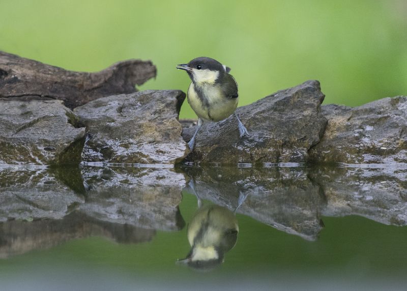 Зеркалоphoto preview