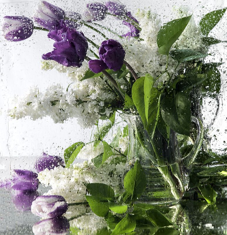 Белая сирень и тюльпаныphoto preview