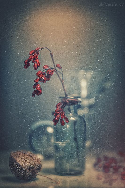 в память о Svoboda Andreevaphoto preview