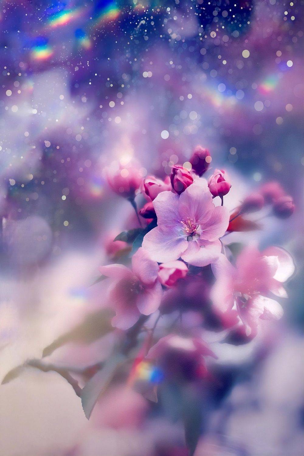 макро, macro, цветы, flower, яблонь,весна, spring, Julia Kaissa