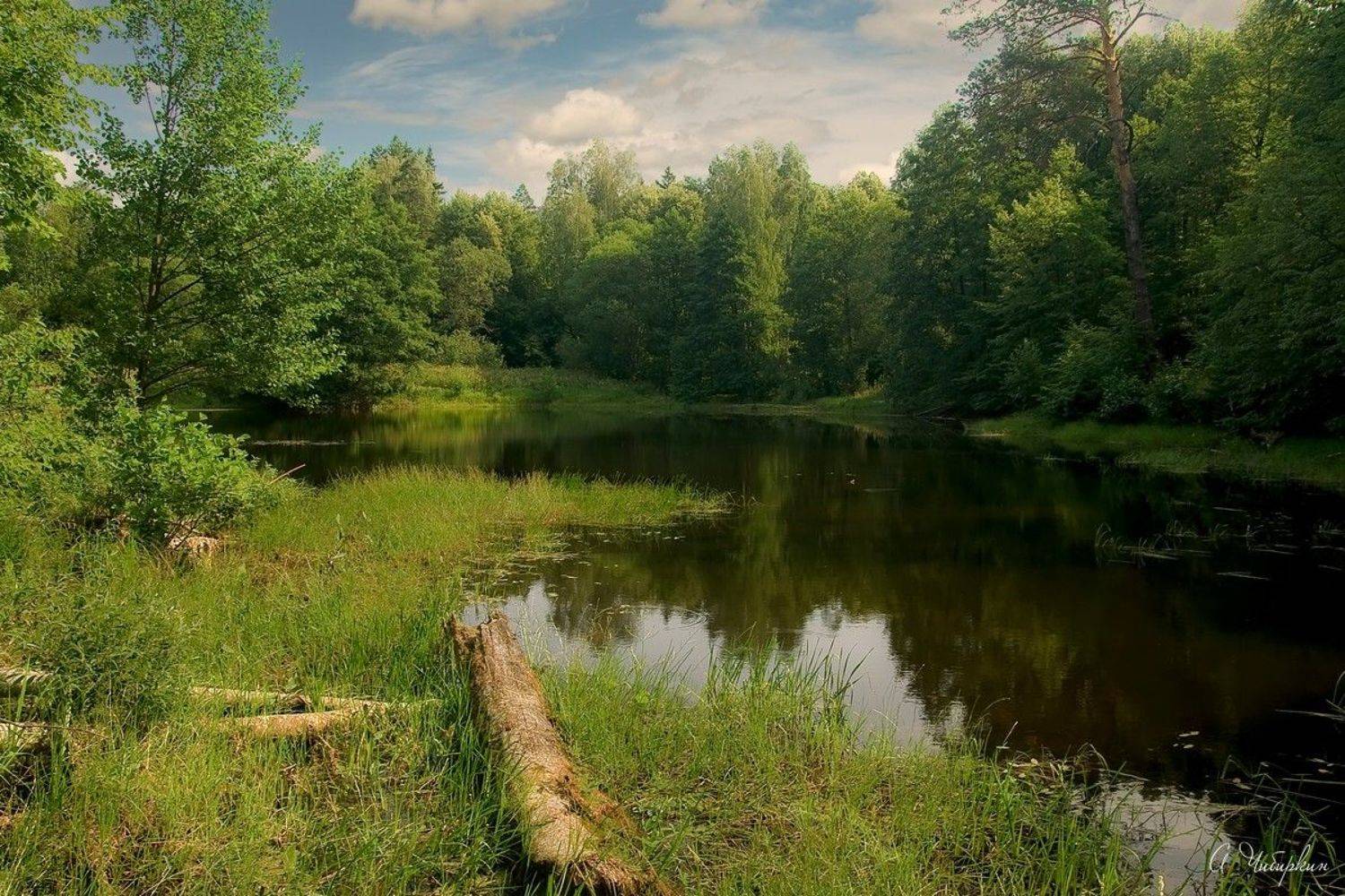На дальнем озере. Автор: Александр Чибиркин Лето, озеро, лес, Александр Чибиркин