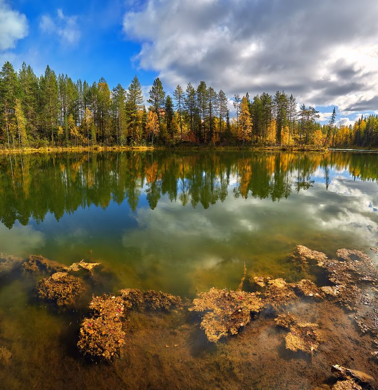 пейзаж, 17-40, коми, ухта, озеро, тайга Параськины озераphoto preview