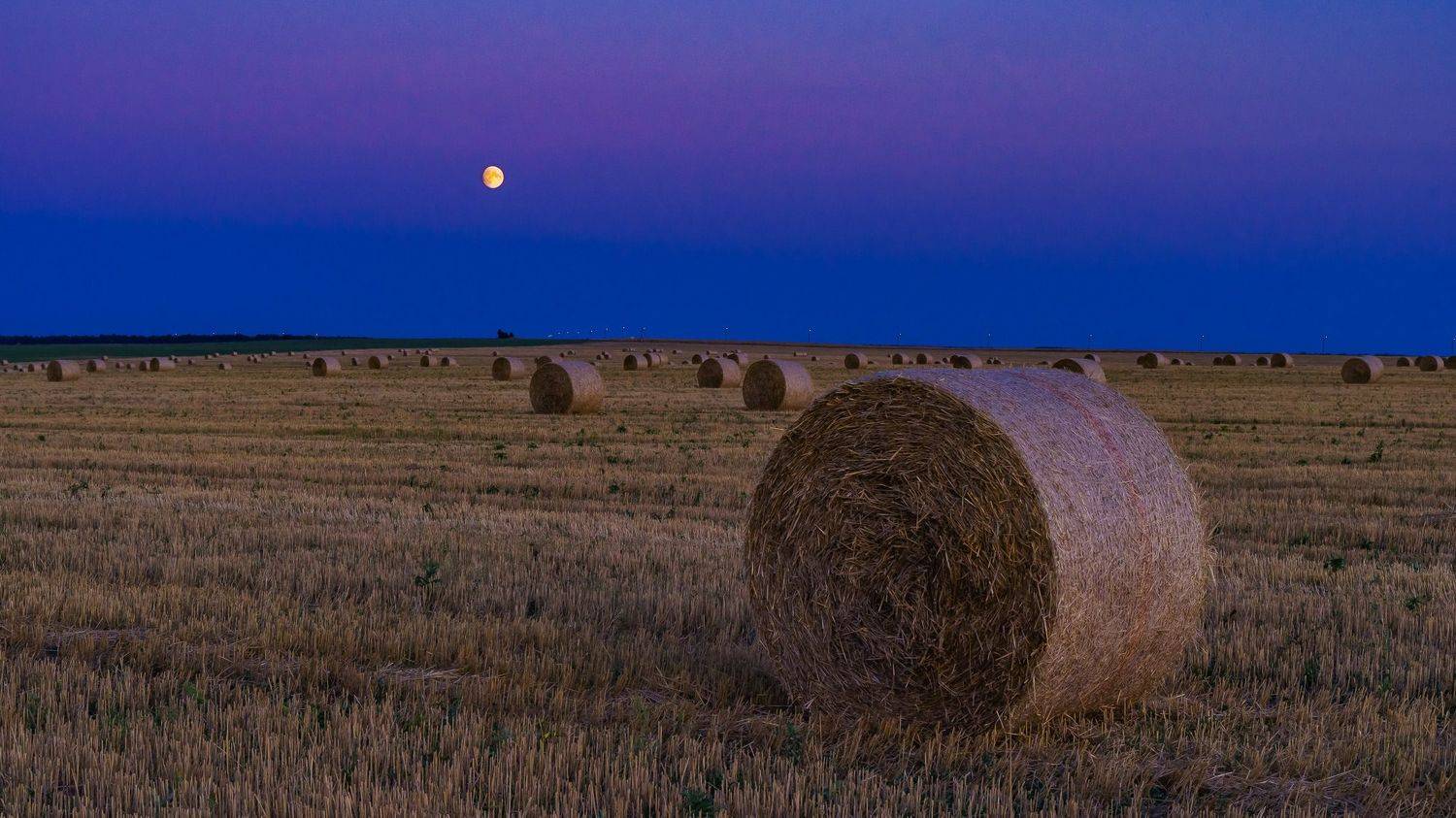 луна, сумерки лунные, поле,, Николай Бологов