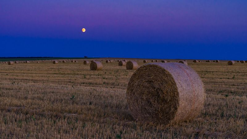 луна, сумерки лунные, поле, Лунные сумерки фото превью