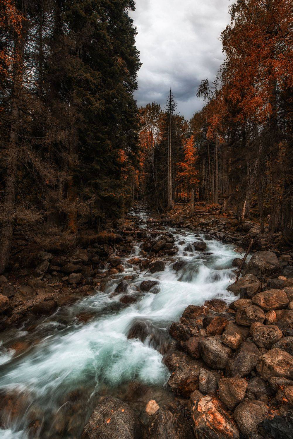 Уллу-Муруджу. Автор: Дмитрий Величко река, вода, осень, лес, домбай, горы, деревья, камни, Дмитрий Величко