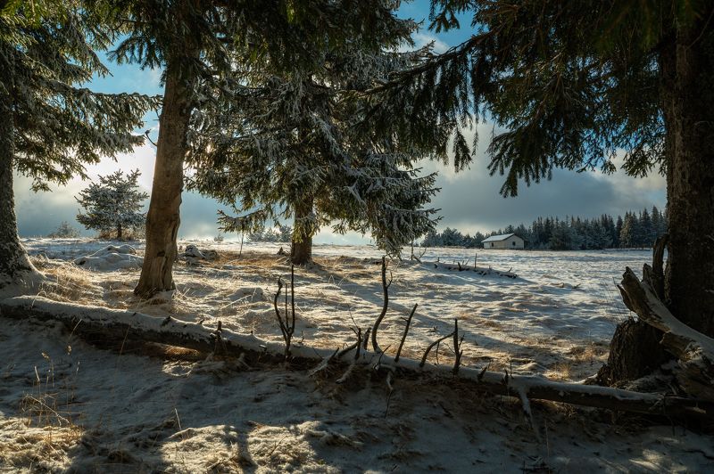 Winter is comingphoto preview