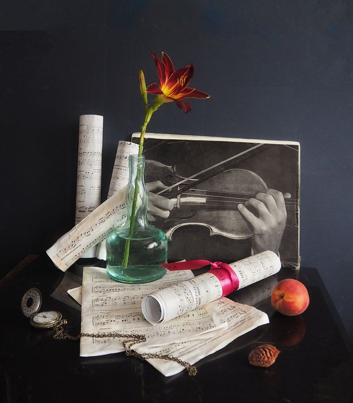 ноты С нотамиphoto preview