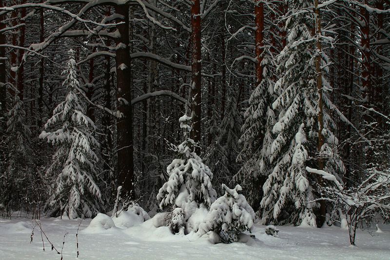 зима, сибирь, россия ..photo preview