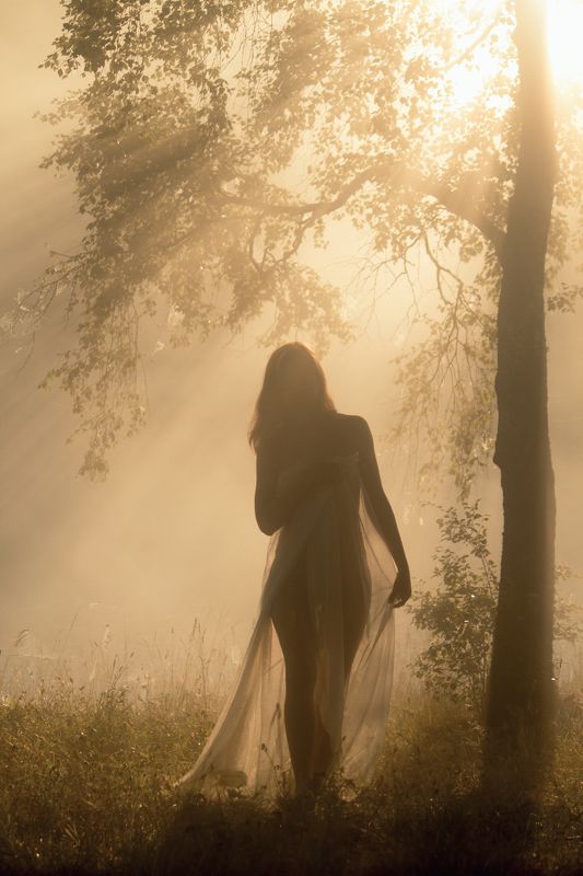 За занавесом туманаphoto preview