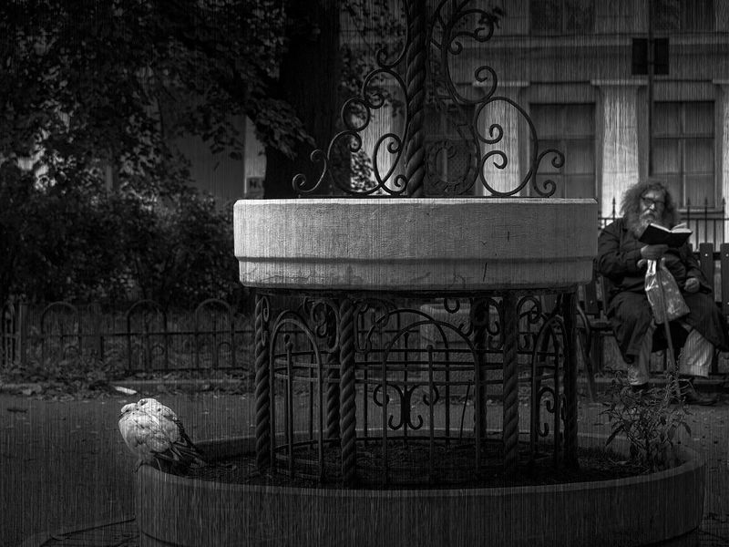 Последний из могиканphoto preview