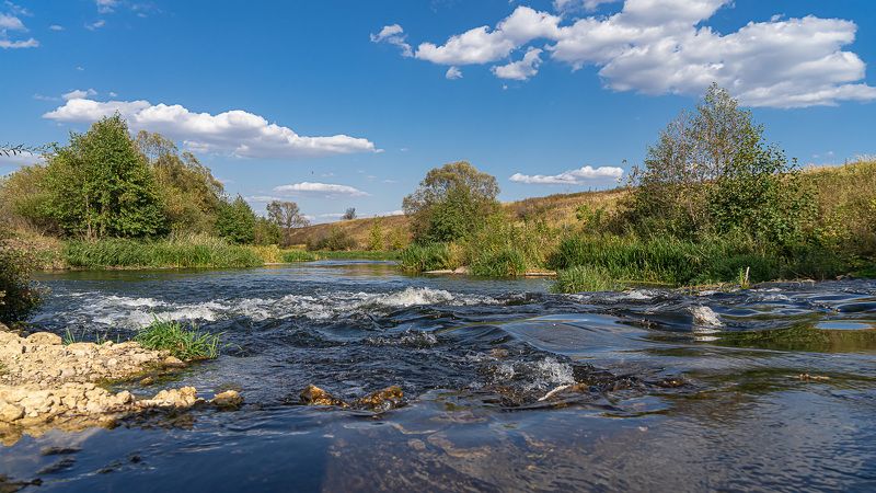 река кшень, пейзаж, Река Кшень. фото превью