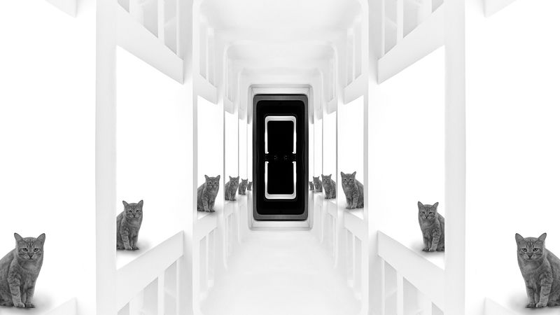 Welcoming Gazephoto preview