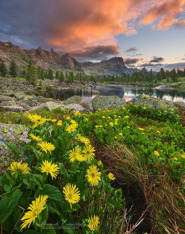 ергаки, ergaki ~ Ергаки ~ фото превью