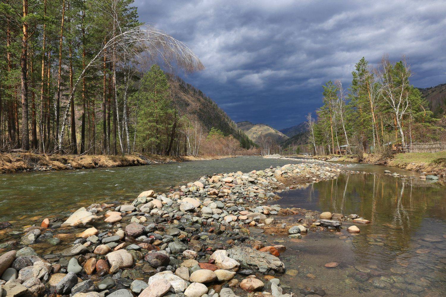 Алтай, Чемал, Горный Алтай, республика Алтай, Сибирь, Галина Хвостенко