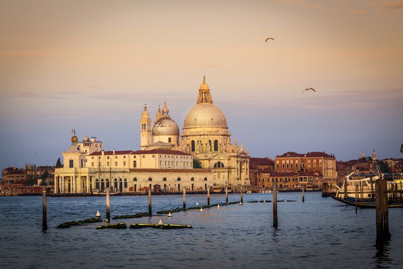 Venice фото превью