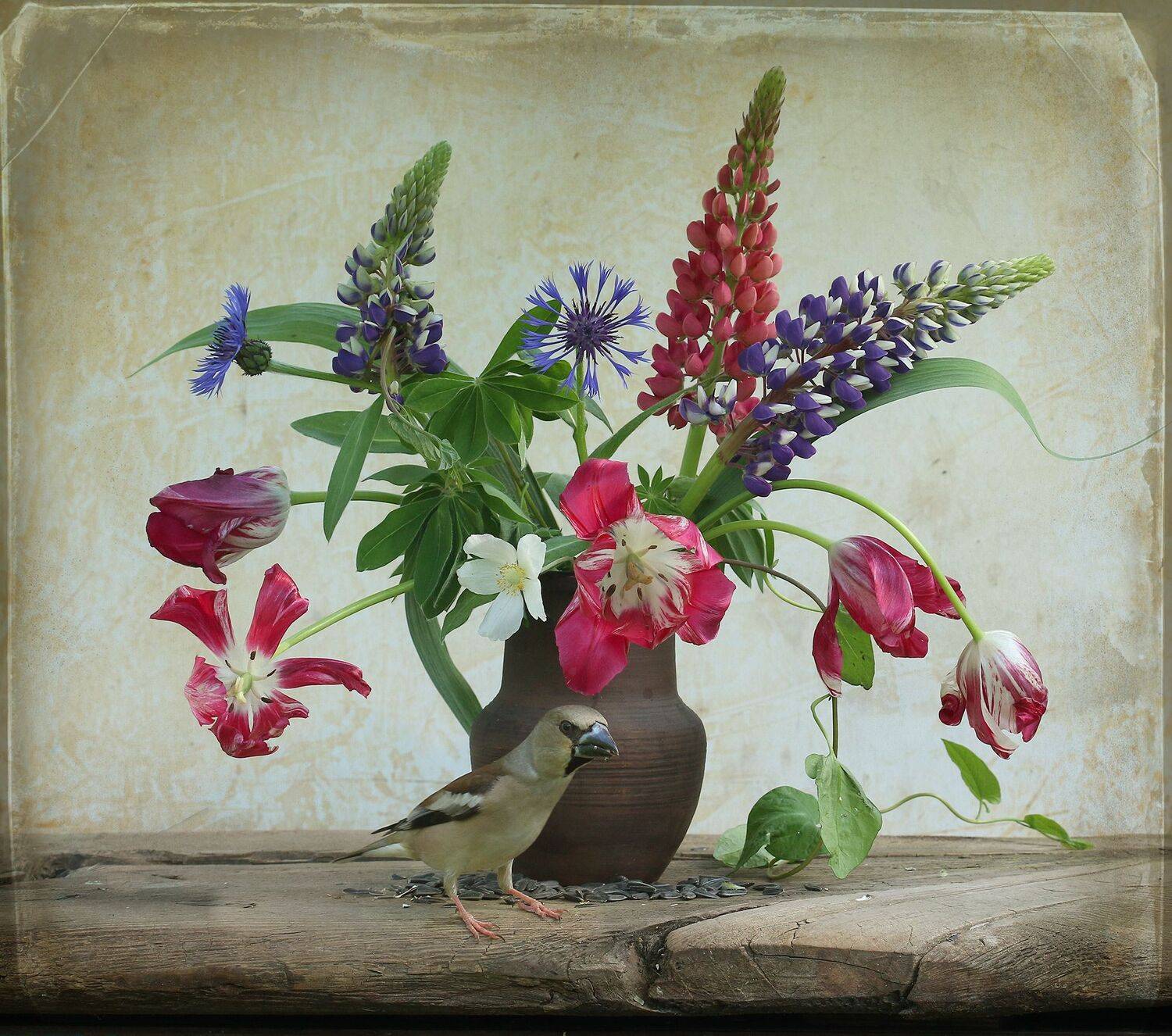 дубонос, Хромушин Олег